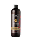GENTLE DAILY CARE - ARGAN OIL & WHEAT PROTEIN SHAMPOO