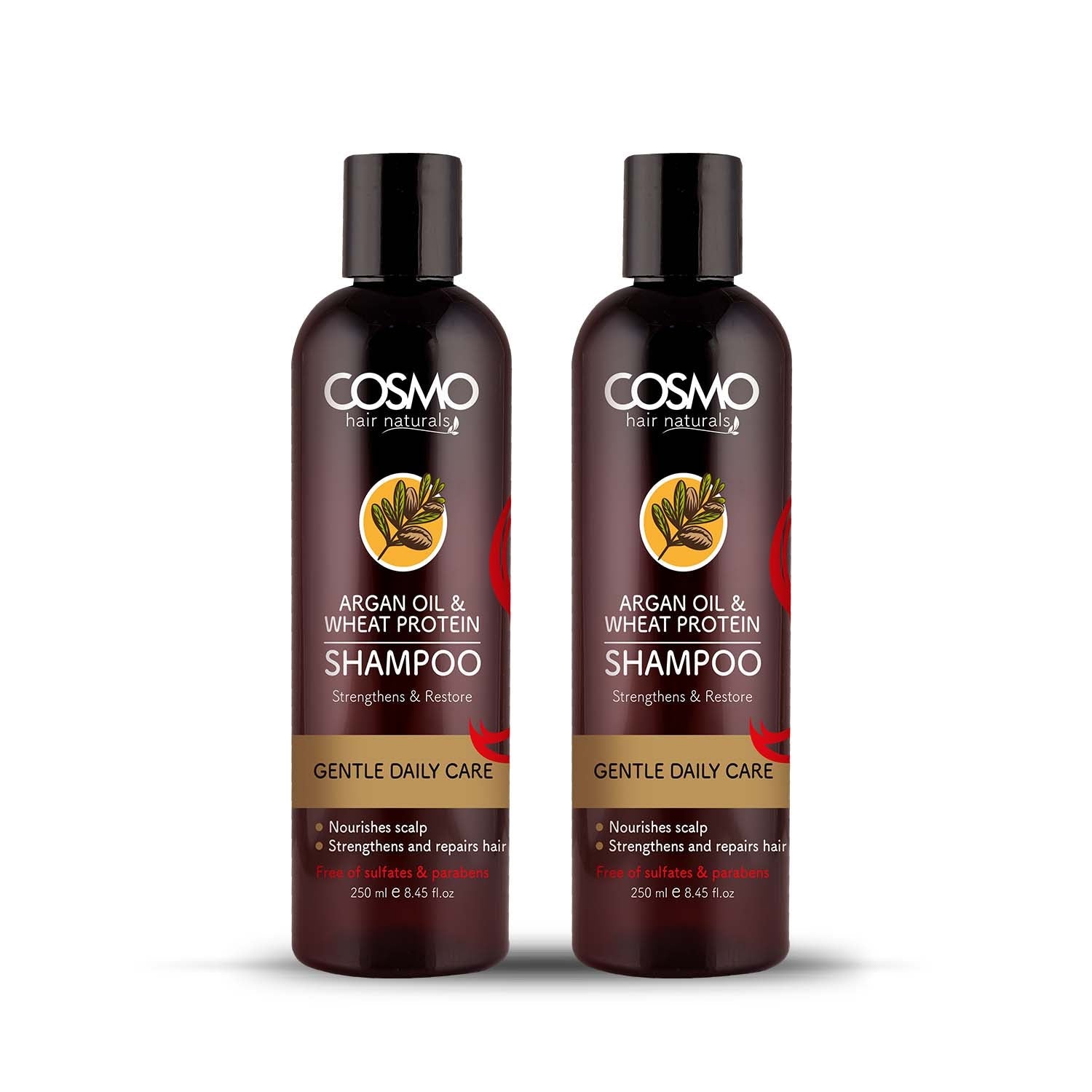 Onion Hair Oil For Hair Fall Control - With Black Seed Oil Extracts - 200 Ml