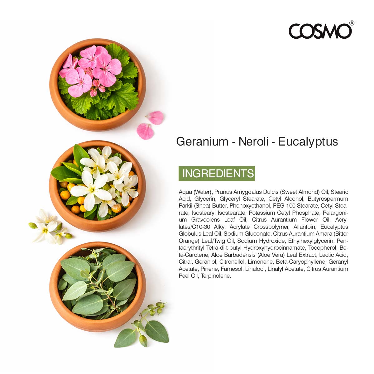 Body Lotion Geranium Concord