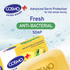 FRESH ANTI-BACTERIAL SOAP